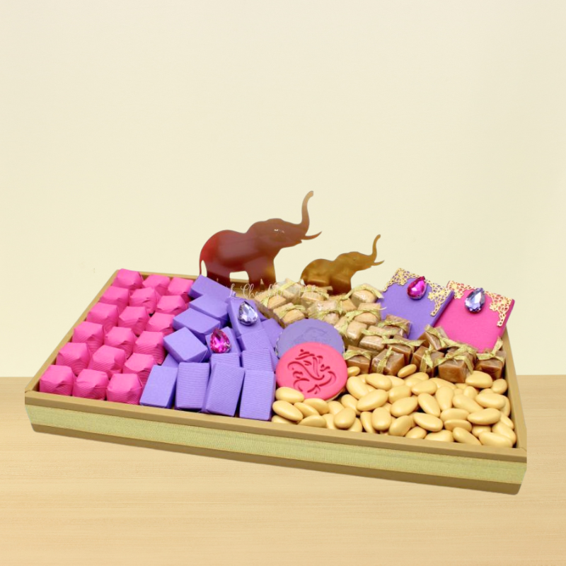 Acrylic elephant decorated medium leather tray