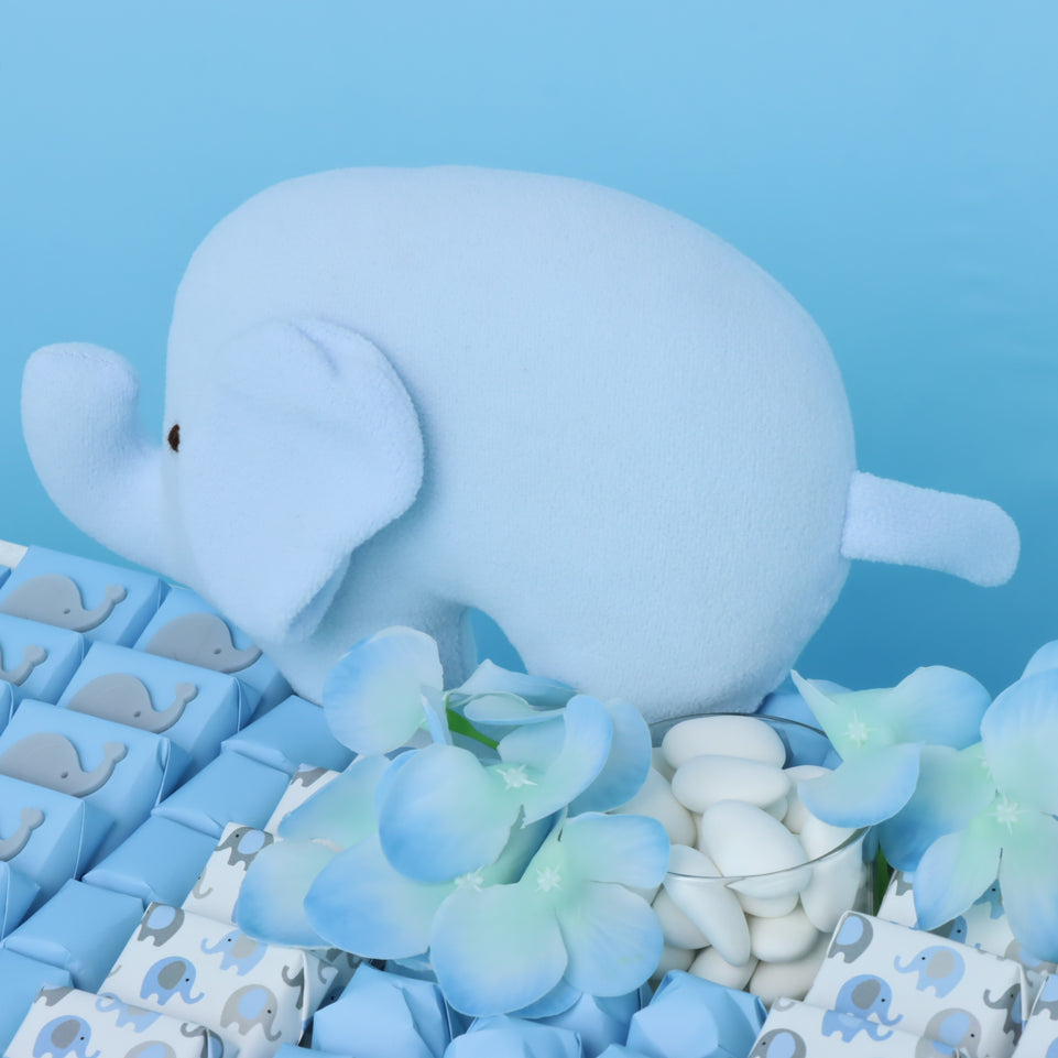 Baby Boy Elephant Theme Chocolate Medium Leather Tray