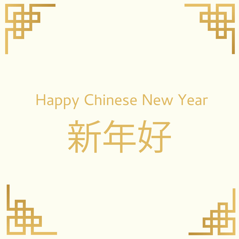 Classic chinese new year greeting card