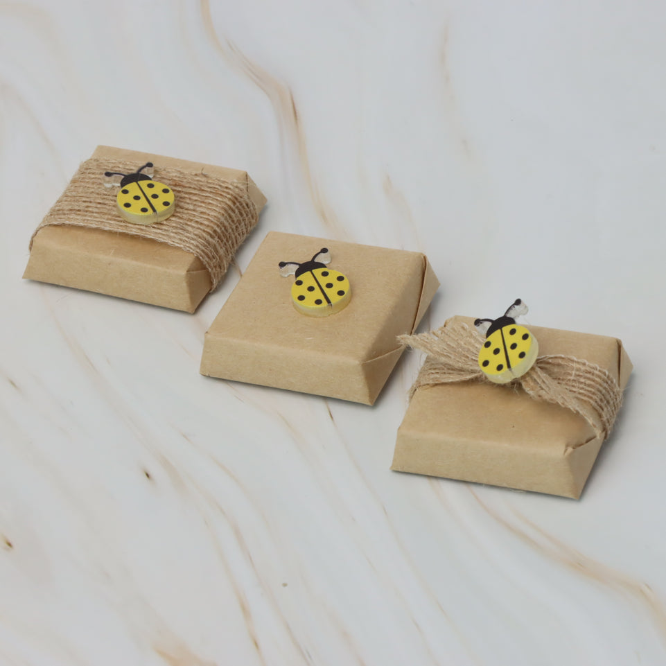Baby acrylic lady bug decorated premium chocolate