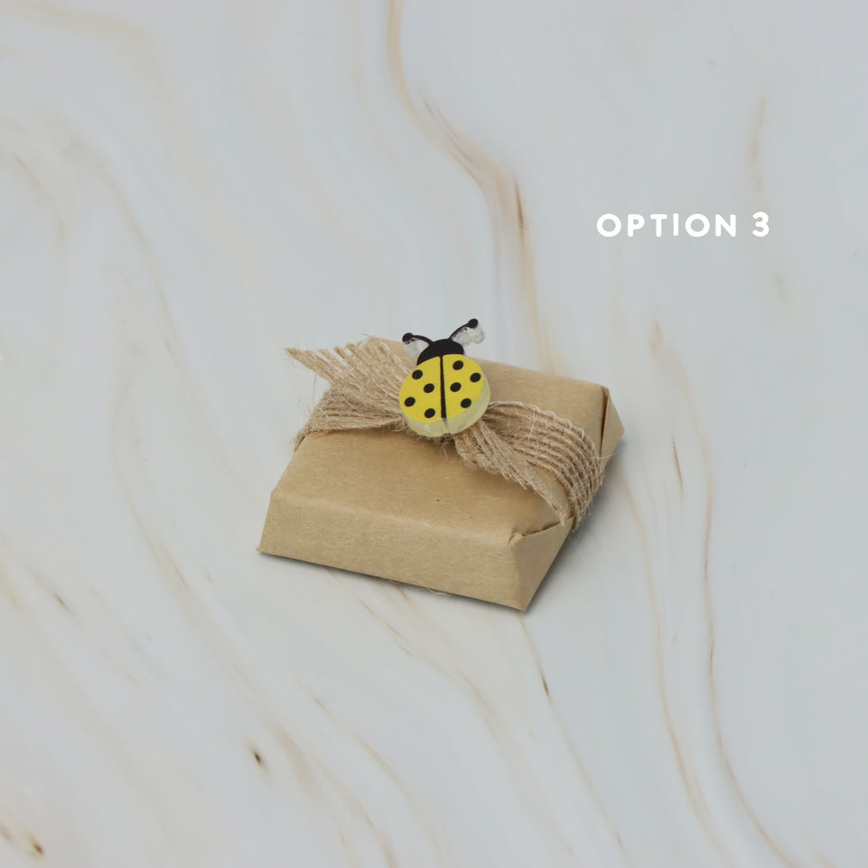 Baby acrylic lady bug decorated premium chocolate