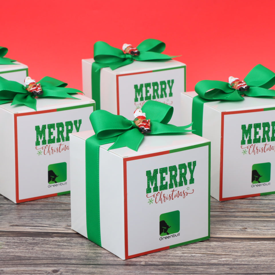 Set of 20 Corporate customized Christmas designed premium chocolate soft box