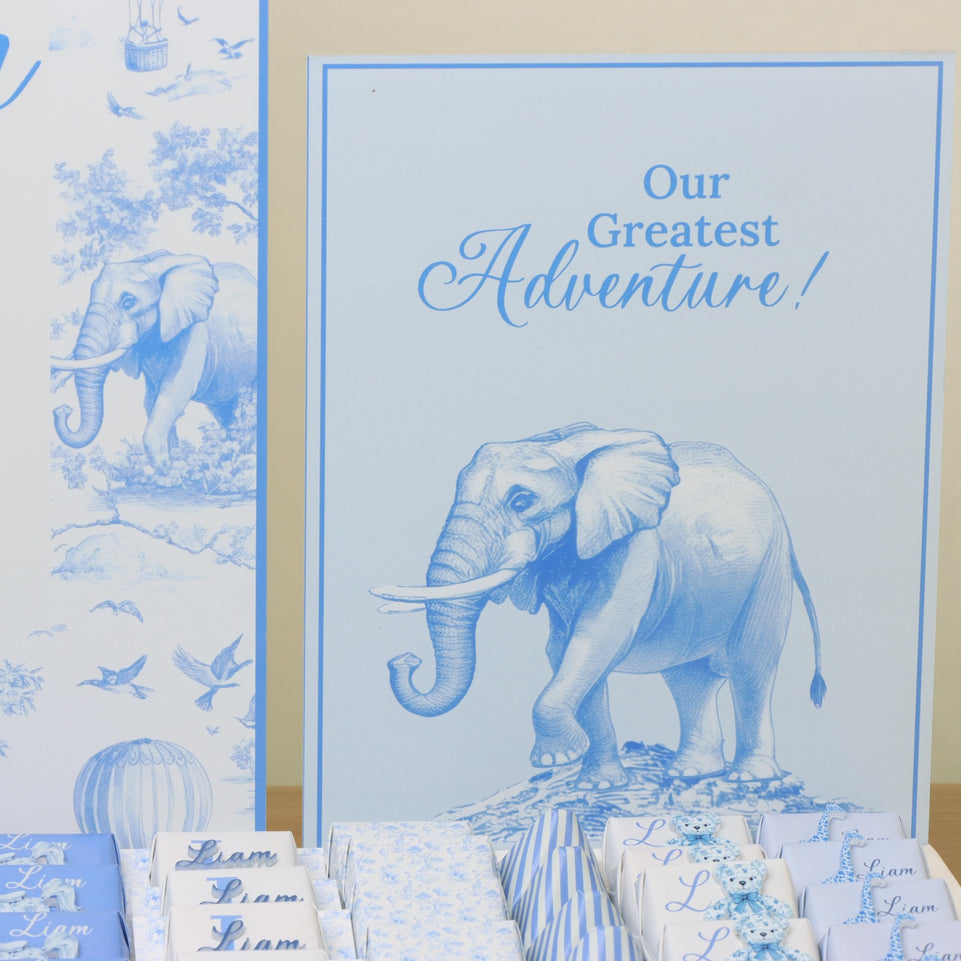 Baby boy safari blue theme with acrylic backdrop premium chocolate large leather tray