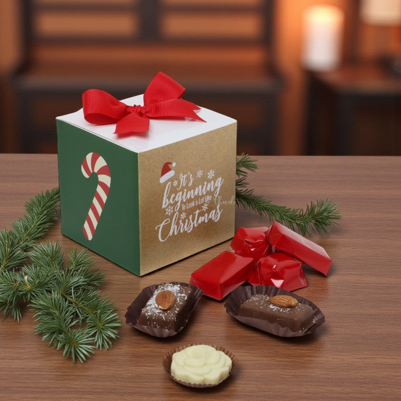 Set of 20 Christmas candy cane designed premium chocolate cube soft box