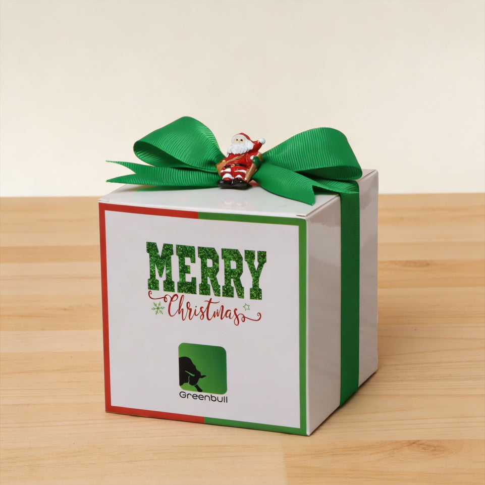 Set of 20 Corporate customized Christmas designed premium chocolate soft box