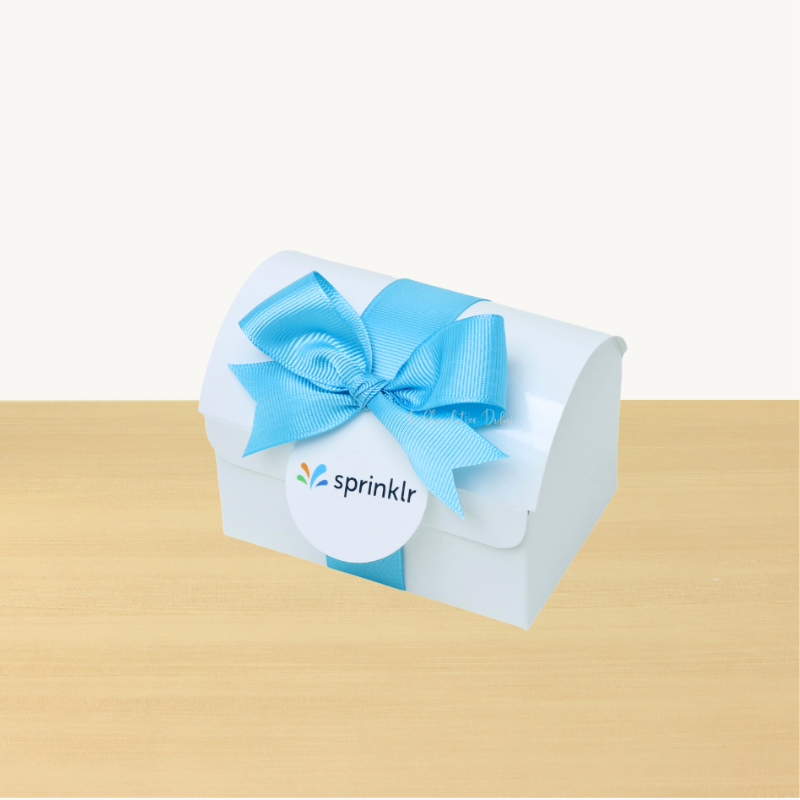 Set of 20 Corporate customized premium chocolate chest soft box