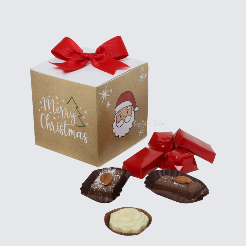 Christmas designed chocolate cube soft box