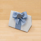 Set of 20 Acrylic elephant decorated chocolate triangle box