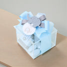 Set of 20 Baby acrylic elephant decorated chocolate acrylic box