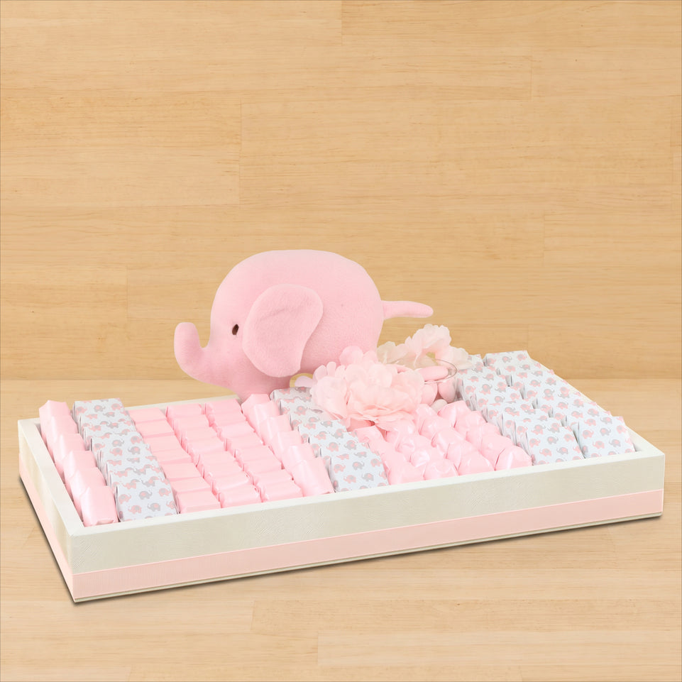 Baby girl elephant theme designed premium chocolate medium leather tray