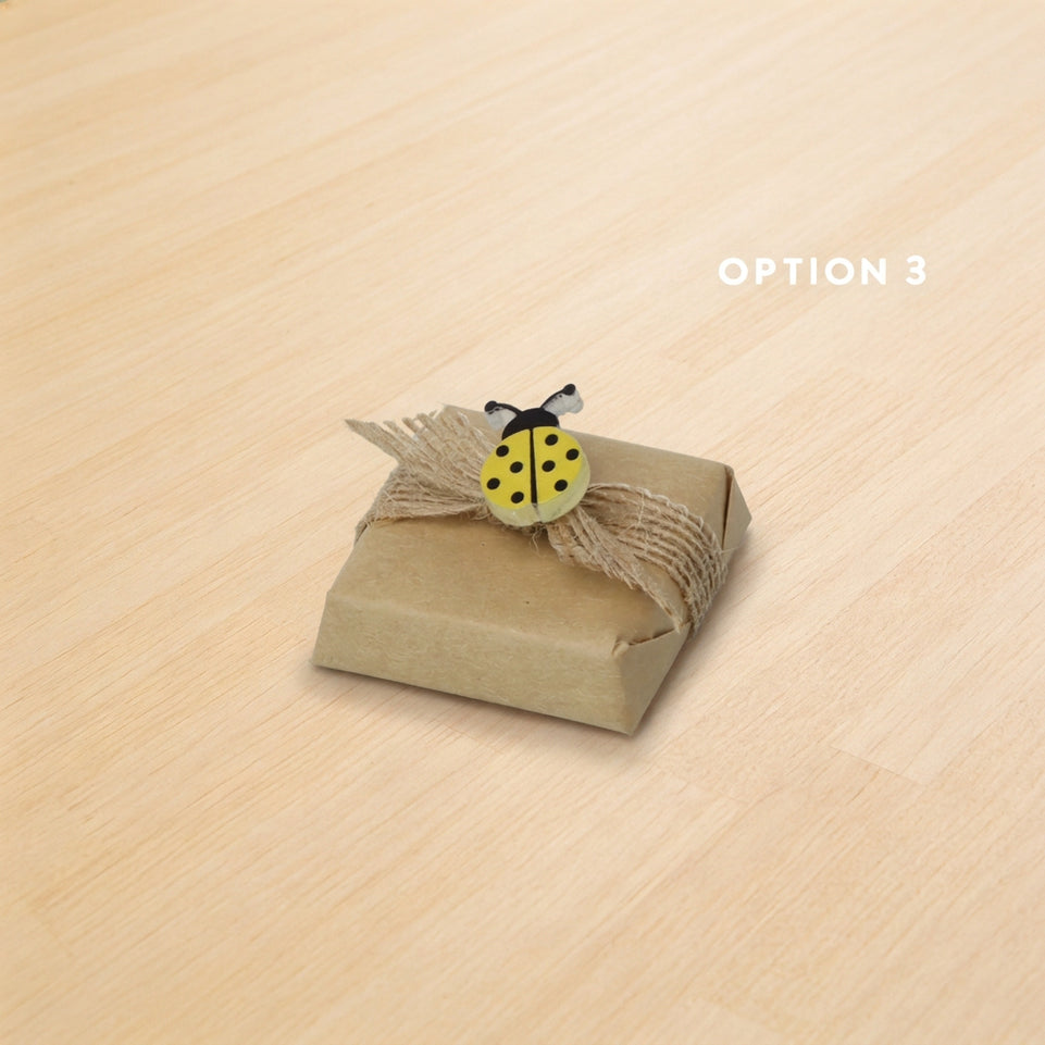 Baby acrylic lady bug decorated premium chocolate