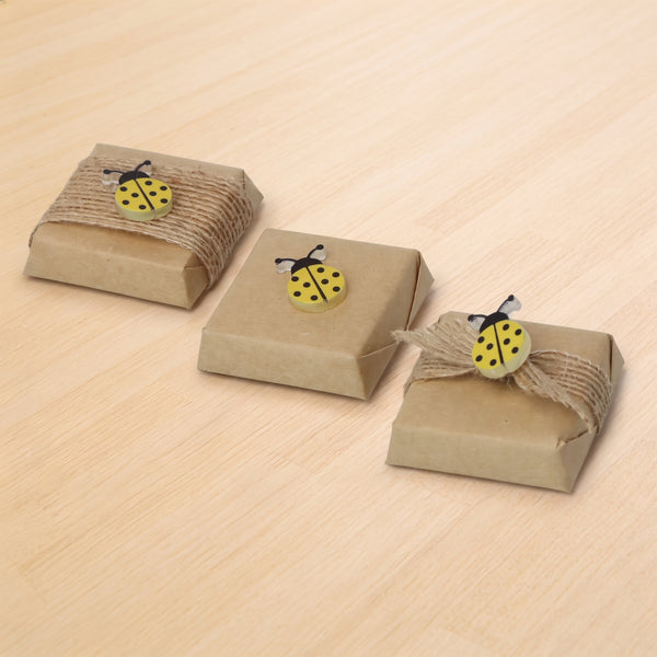 Baby acrylic lady bug decorated premium chocolate