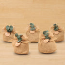 Set of 20 Baby Rustic personalized chocolate jute bag