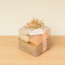 Set of 20 Bridal chocolate & almond dragees clear box