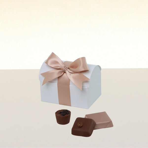 Set of 20 premium chocolate soft chest box