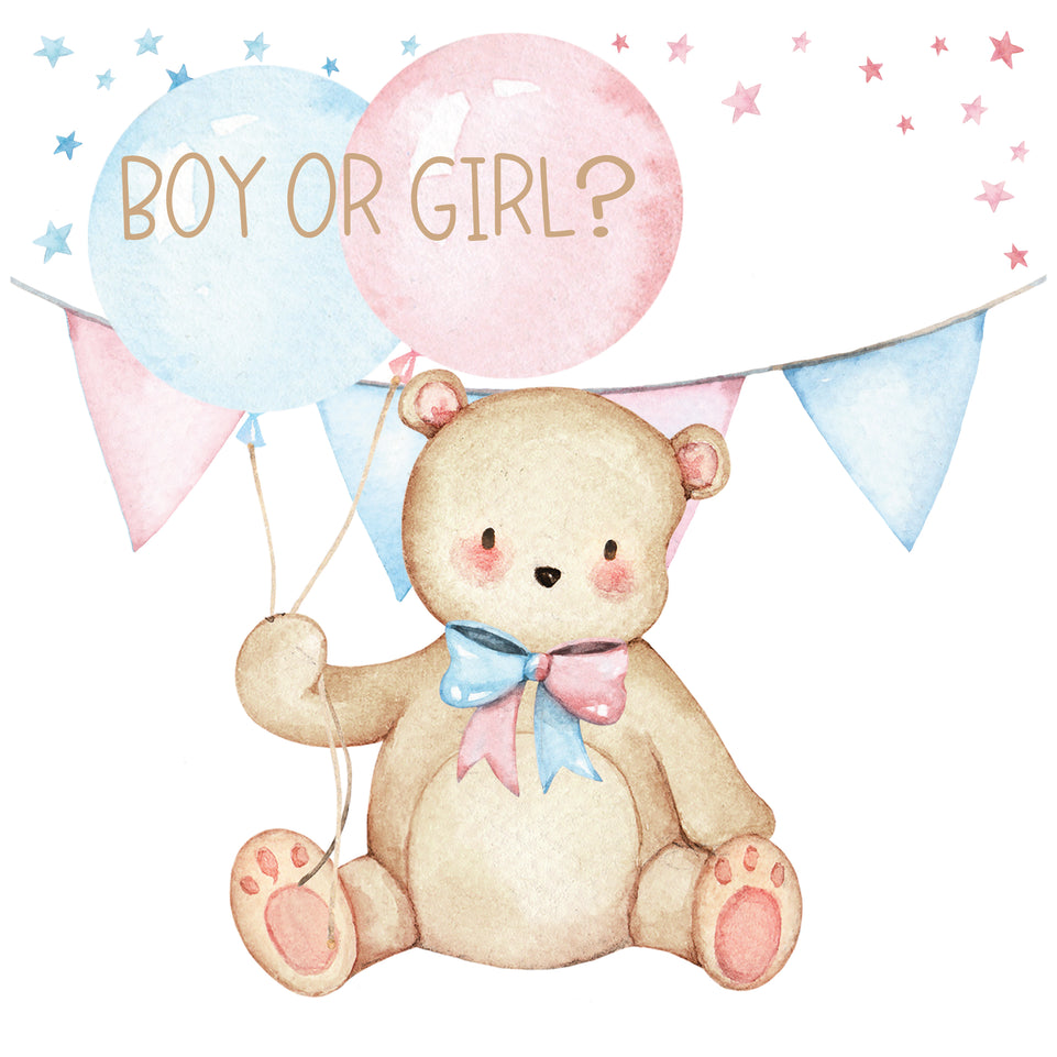 Baby gender reveal boy or girl greeting card