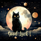 Black cat at night good luck greeting card