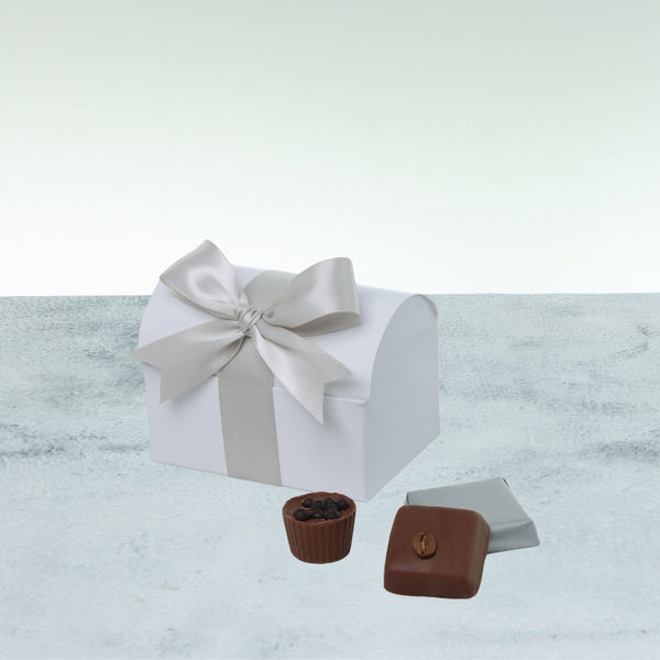 Set of 20 Premium chocolate chest soft box