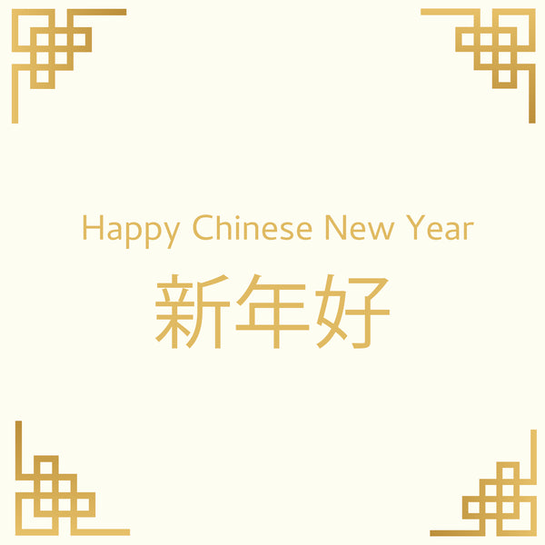 Classic chinese new year greeting card