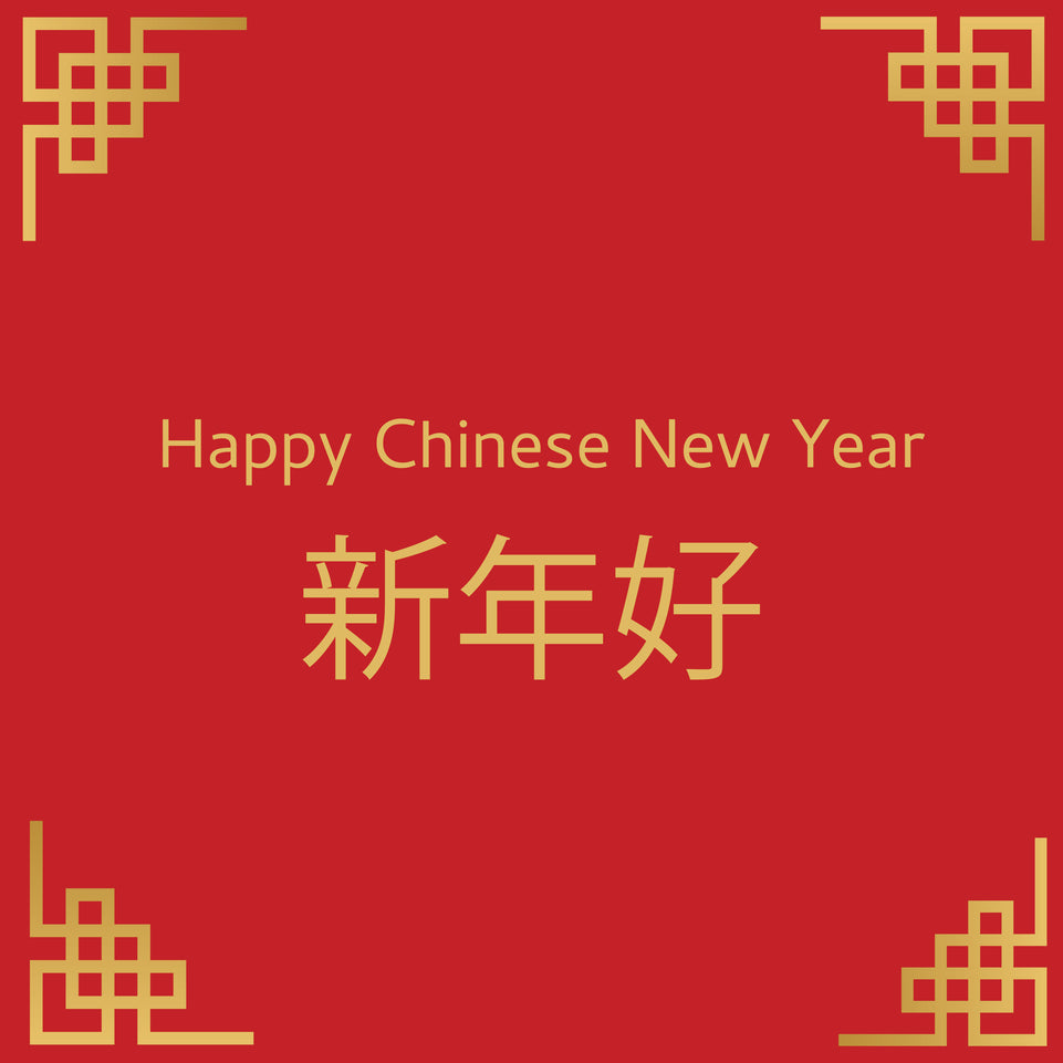 Classic chinese new year greeting card