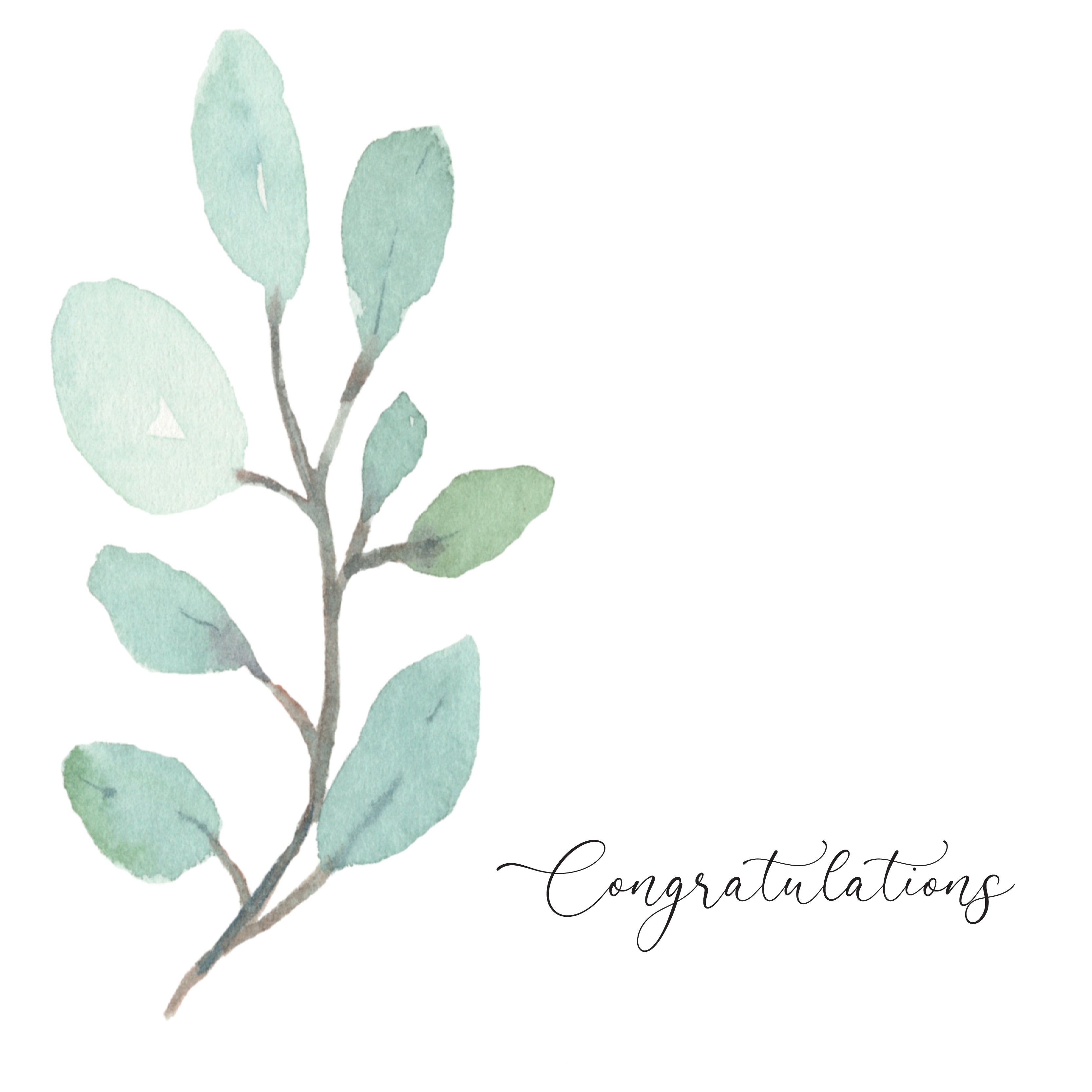 Congratulations green leaves minimalist greeting card