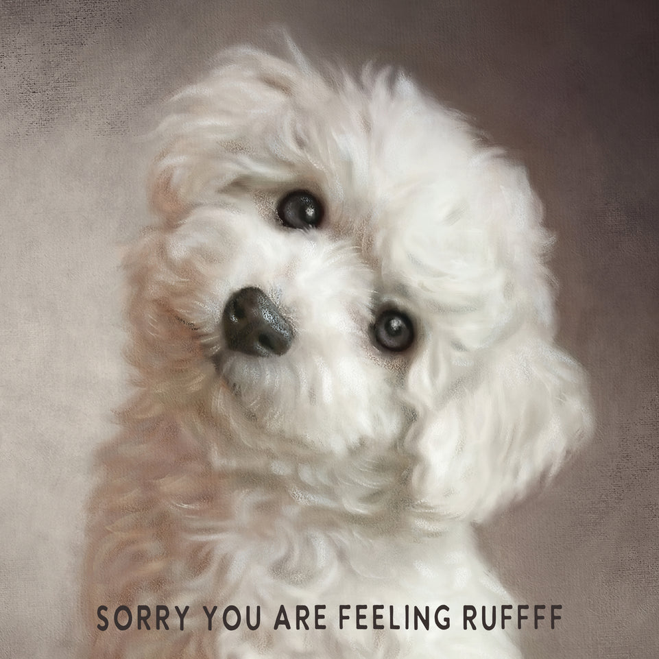 Get well soon cute dog greeting card