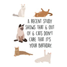 Happy birthday 6 out of 6 cats greeting card