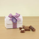 Set of 20 corporate customized premium chocolate chest box giveaway
