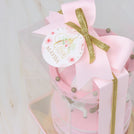 Set of 20 Baby carousel music box