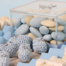 Baby boy carousel theme chocolate medium leather tray