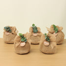 Set of 20 Baby Rustic personalized chocolate jute bag