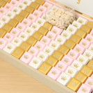 Baby girl crown decorated premium chocolate large leather tray with acrylic backdrop