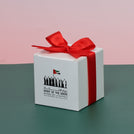 Set of 20 Spirit of the union national day designed premium chocolate cube soft box