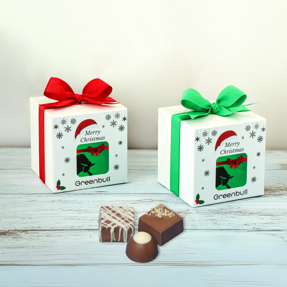 Set of 20 Christmas corporate chocolate soft box