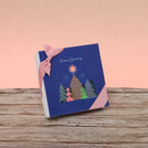 Season's greeting designed premium chocolate 9p hard box