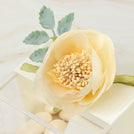 Set of 20 Flower decorated premium chocolate acrylic box giveaway