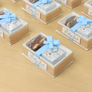 Set of 20 Baby boy Air Balloon theme chocolate view top box