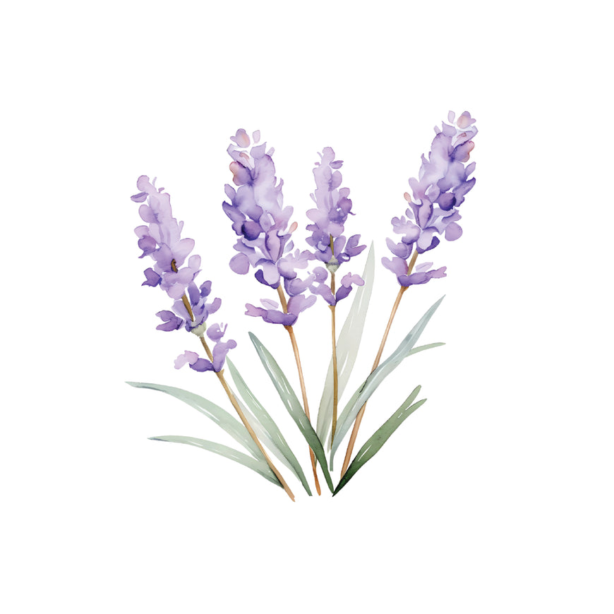 Lavender bunch greeting card