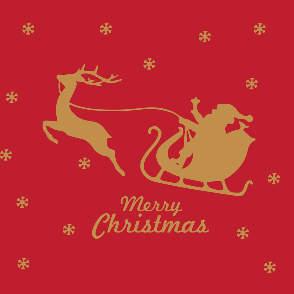 Merry christmas santa sleigh greeting card