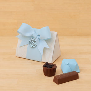 Set of 20 Baby boy decorated chocolat...