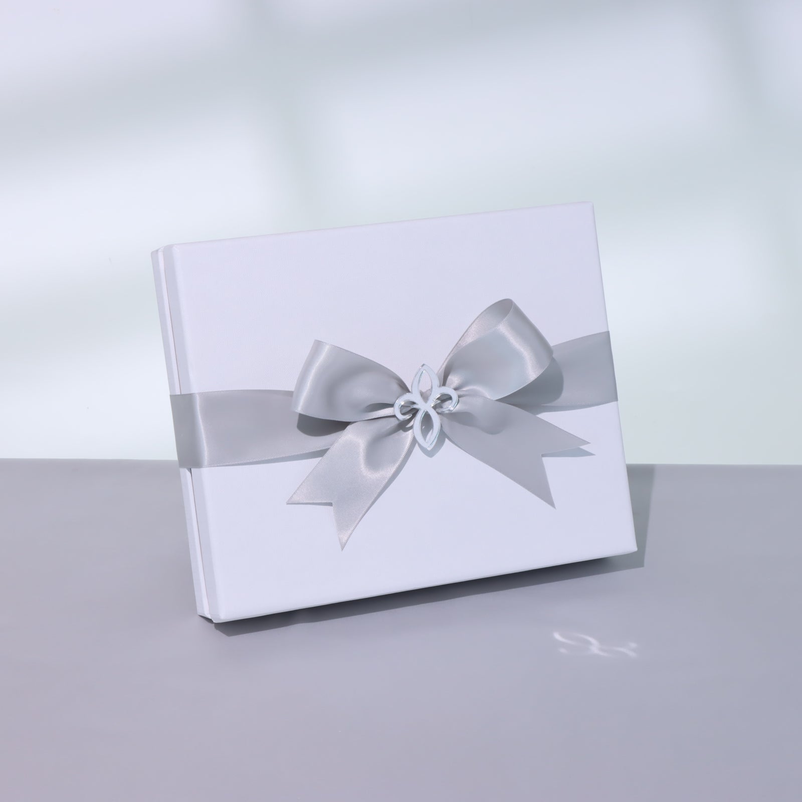 Premium silver delights chocolate 20-pc hard box