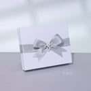 Premium silver delights chocolate 20-pc hard box