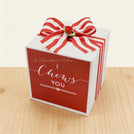 Valentine's day designed " i chew's you" chocolate hard cube box