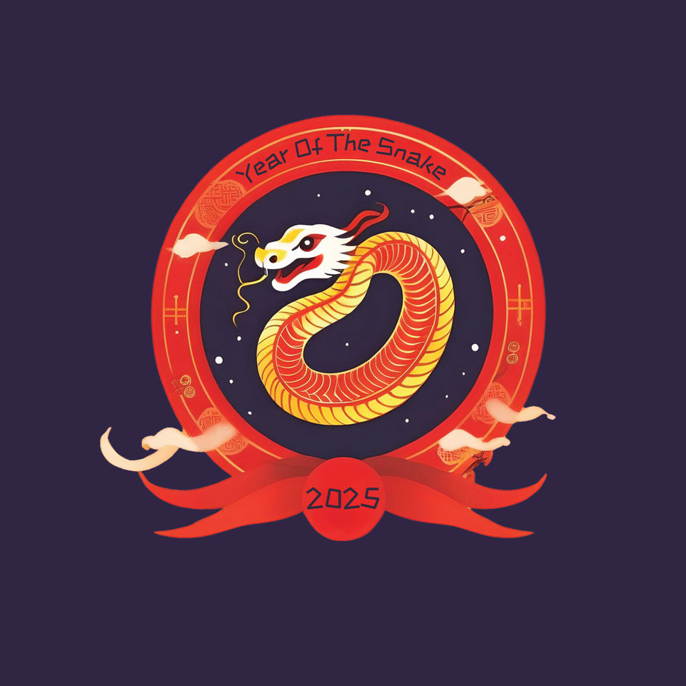 Year of the snake 2025 chinese new year greeting card 3