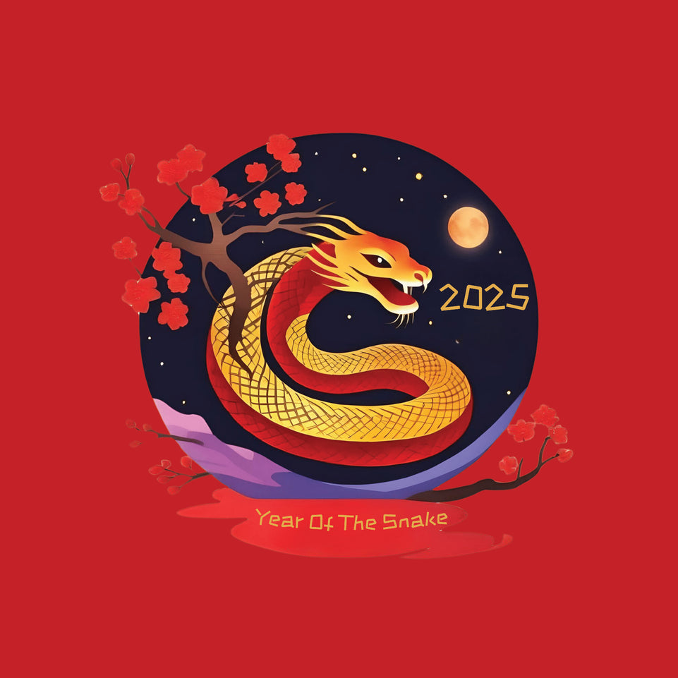 Year of the snake 2025 chinese new year greeting card 4