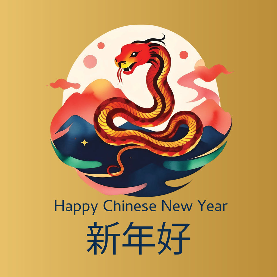 Year of the snake 2025 chinese new year greeting card 5