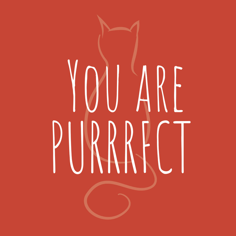 You are purrrfect greeting card