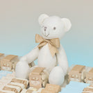 Baby boy teddy themed personalized chocolate leather tray