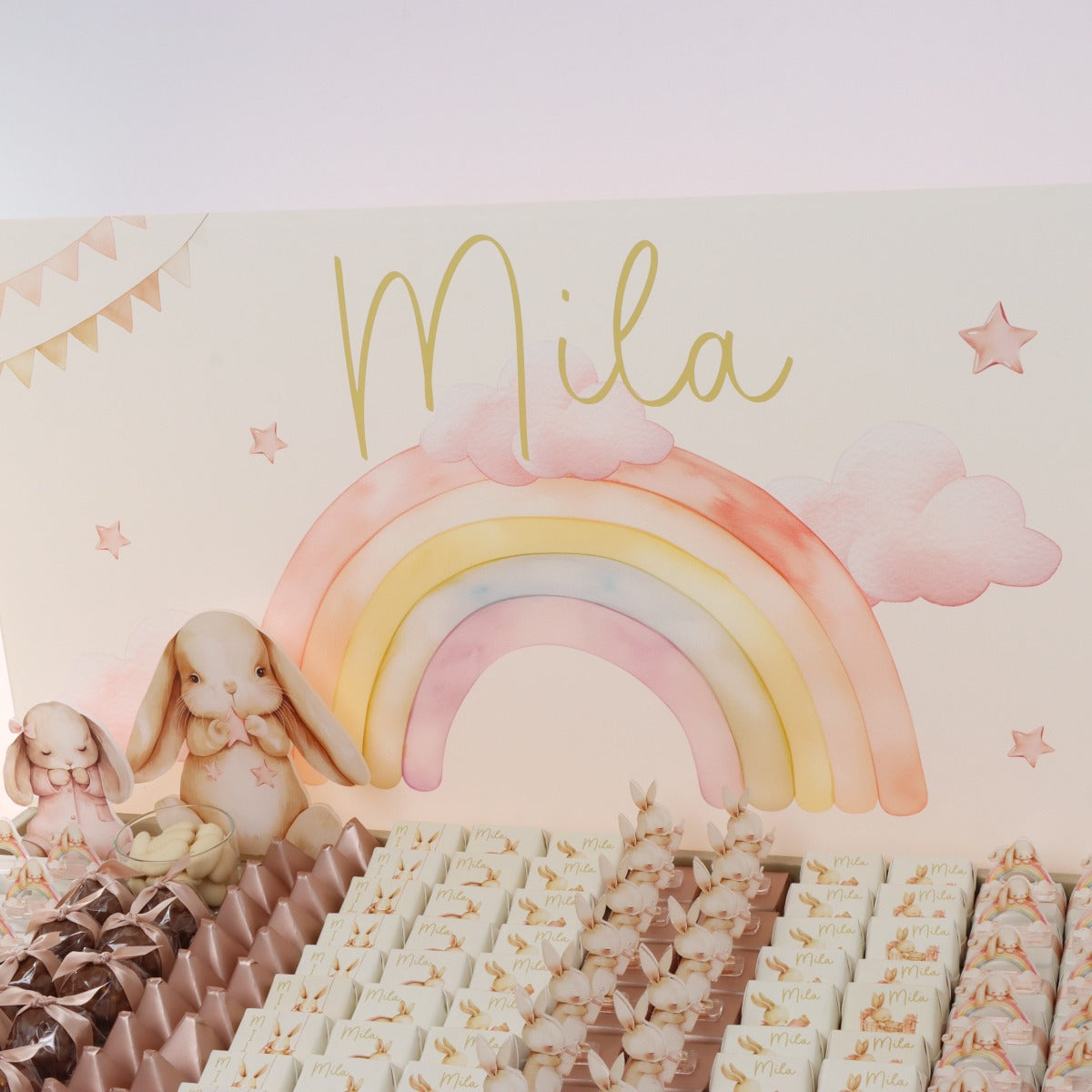 Baby girl rabbit theme decorated chocolate large leather tray