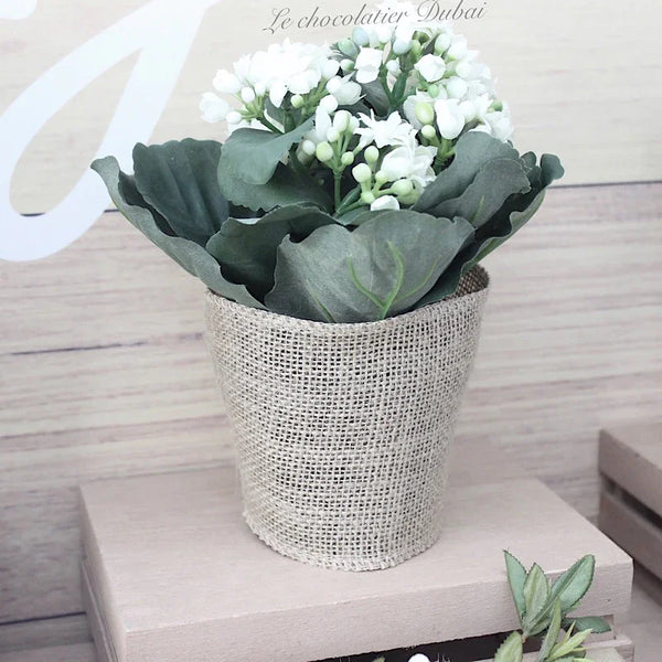 Baby rustic theme chocolate wood stand